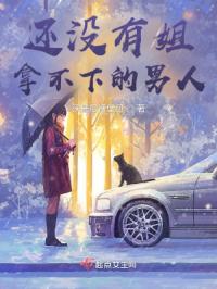 还没有姐拿不下的男人