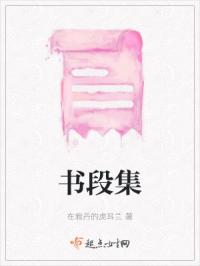 书段集