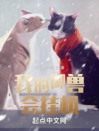 我的御兽会挂机