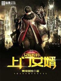 女院长的上门女婿