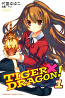 TIGER　X　DRAGON